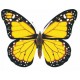 Legrační vlající motýl 